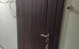 металлическая дверь с массивом дерева